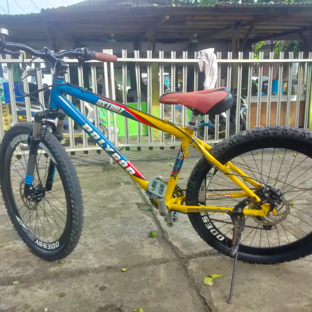 MTB Polygon astroz full alumunium