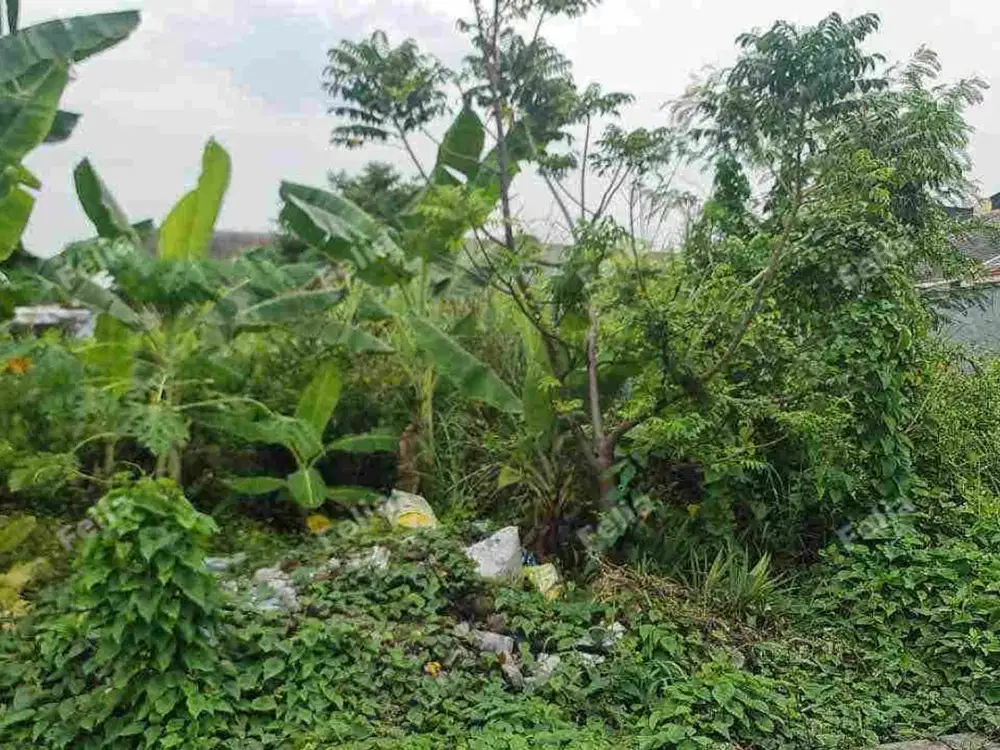 Dijual tanah murah medayu utara rungkut row 2 mobil luas 225 m2