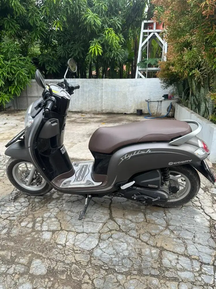 Honda Scoopy Stylish 2020 Mate Grey