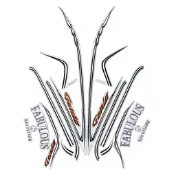 STRIPING LIST HONDA GENIO FABULOUS 110 ESP FI CBS TAHUN 2019