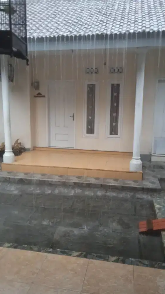 Disewakan rumah suasana tenang kota Bondowoso