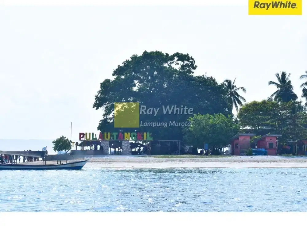 Dijual Tanah Pantai Pulau Tangkil, Lempasing, Pesawaran, Lampung (Kode: AY 3378)