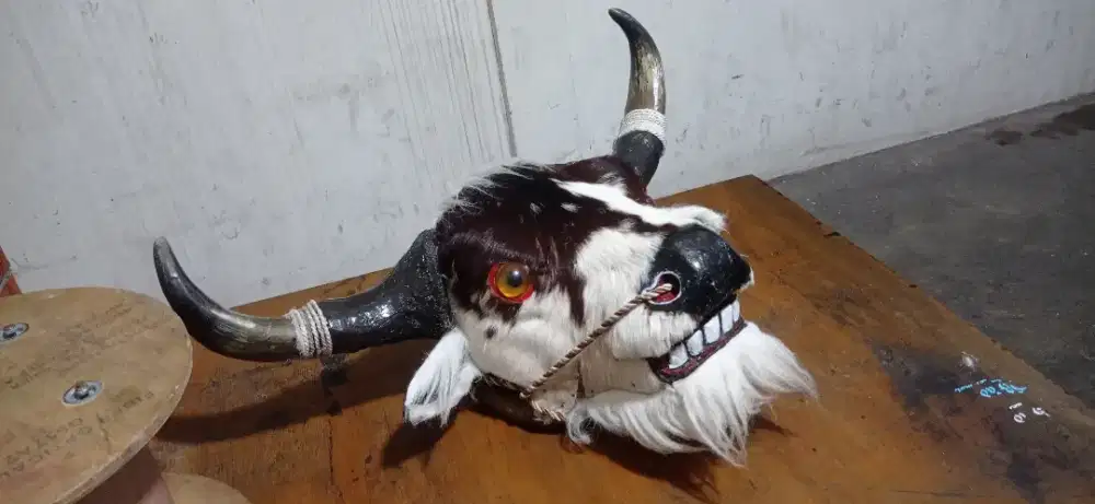 Kepala banteng pajangan ukuran 2 kil. Lebih dikit