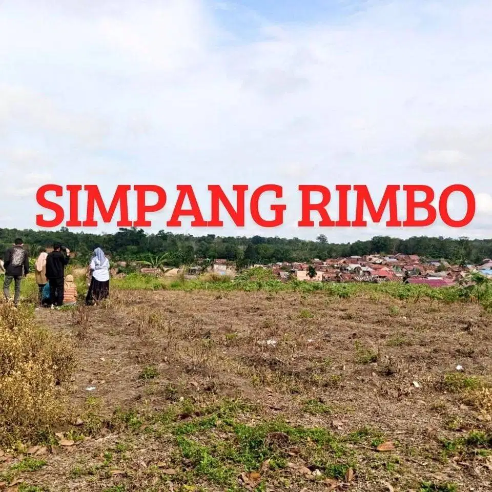 Jual Tanah Murah Simpang Rimbo Kota Jambi