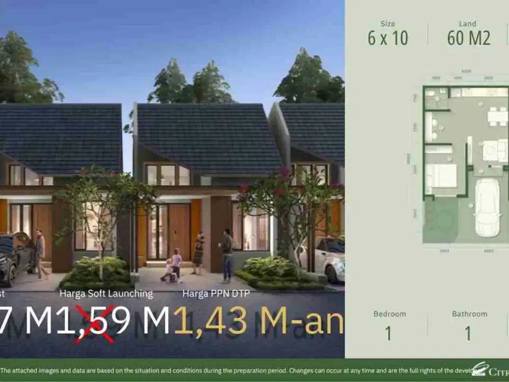 cedar 6a THE FORESTIN