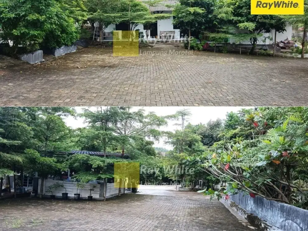 Jual Tanah Perkebunan Sidomulyo Lampung Selatan