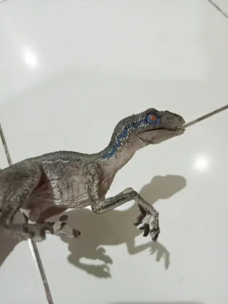 Dinosaurus velociraptor