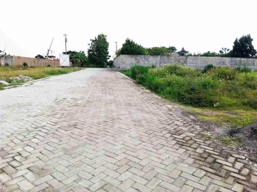 Pekarangan strategis, luas 1.268m² muka 40m jalan 6,5m, 800m dari jalan Raya lawu ( palur - karanganyar) :