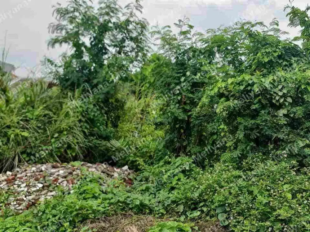 Dijual Tanah Kavling Medayu Utara - Rungkut