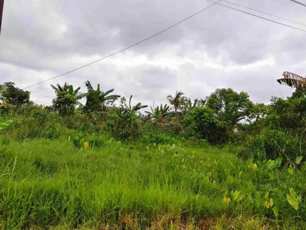 tanah jl Ampera kobar