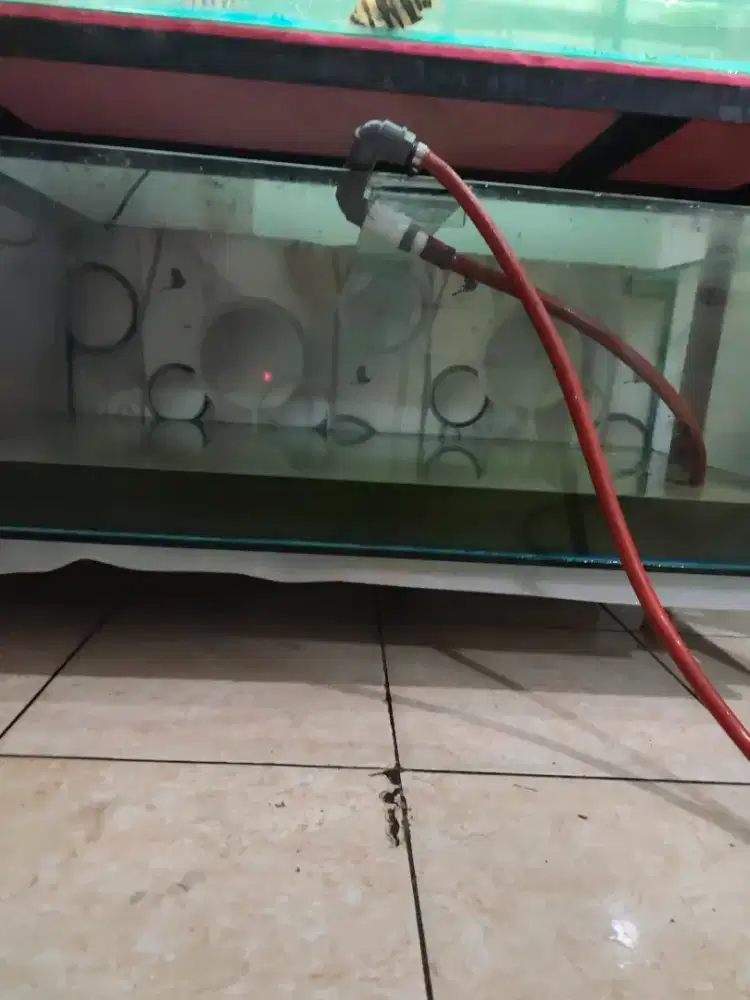Aquarium besar dijual