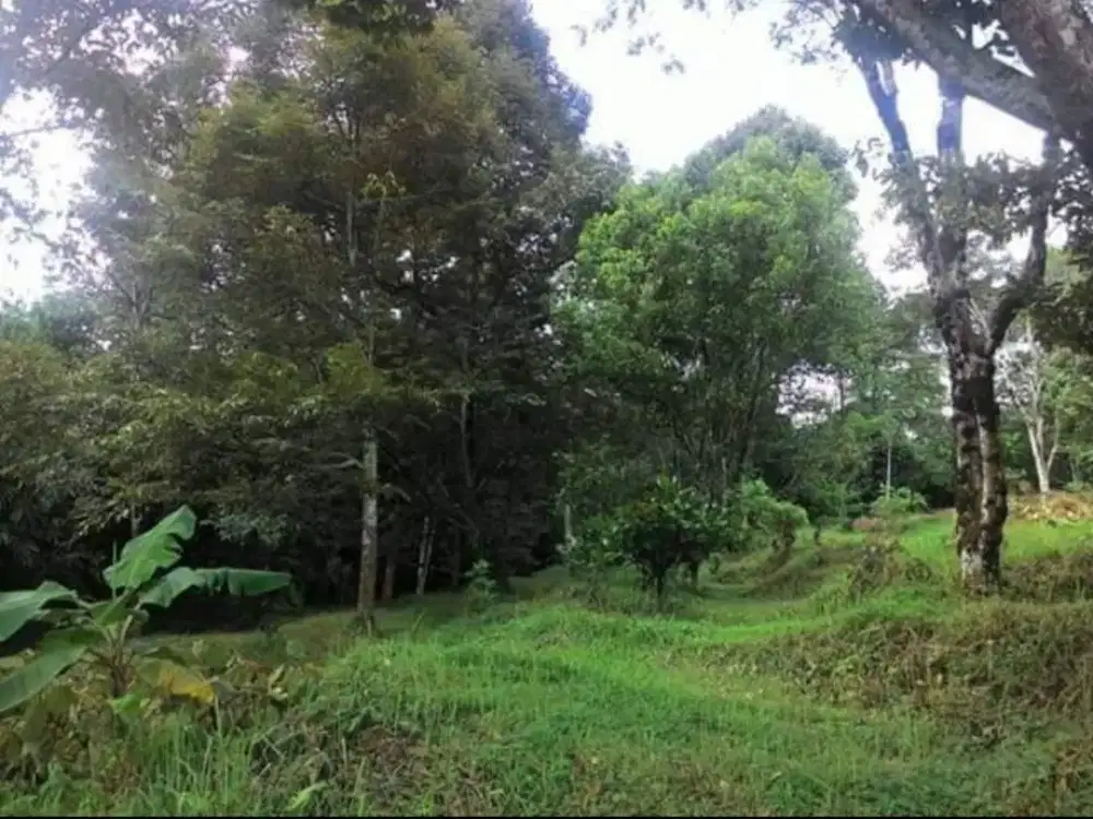 Jual Cepat & NEGO Tanah LUAS di Ungaran, Kab. Semarang