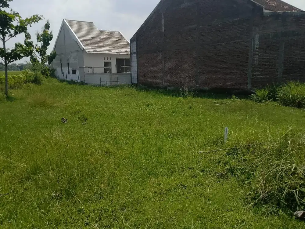 Dijual Cepat Tanah Kavling Luas Tanah 128 m²  di Citra Greenland, Cepu