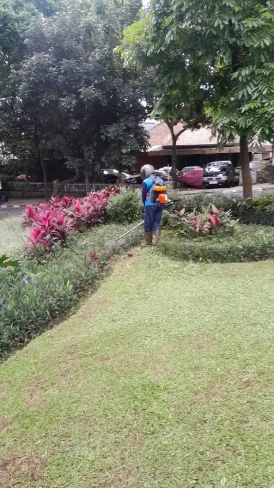 Jasa potong rumput
