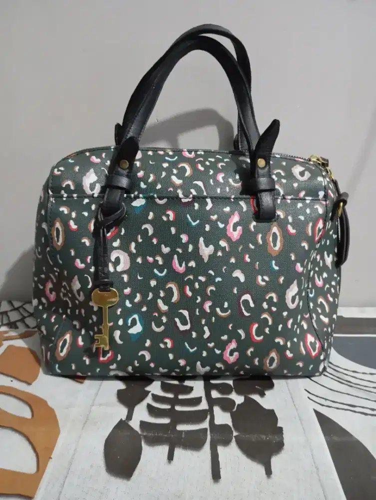 TAS FOSSIL AUTHENTIC