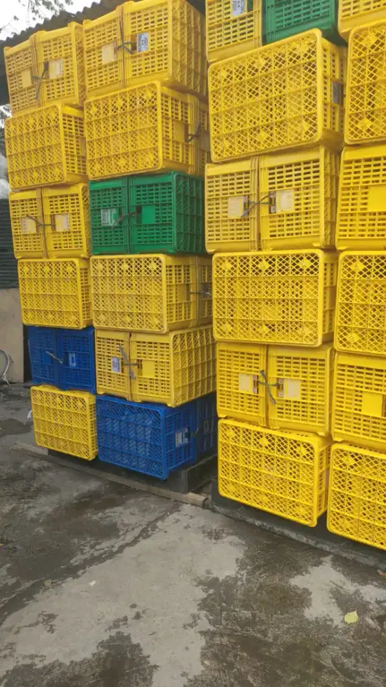 Keranjang krat buah sayur merk rabbit kode 5604