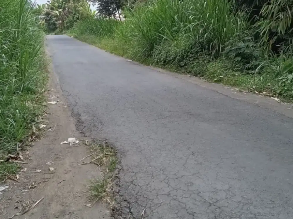 TANAH LANGKAH SIAP BANGUN MEMILIKI SUMBER AIR YANG JERNIH BAGUS DARI GUNUNG KINTAMANI