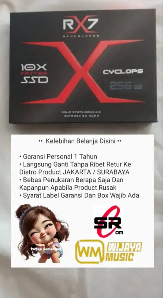 SSD 256 GB [ WINDOWS 10 / 11 ] FREE PASANG