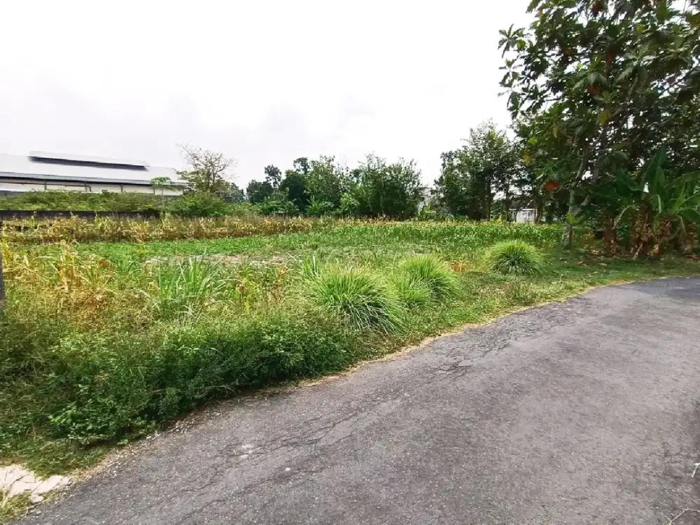 Tanah Dijual Dekat HOTEL INDOLUXE Harga Murah Sleman Jogja