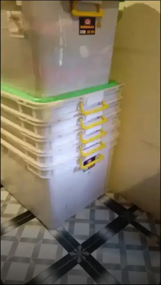 Jual borongan box shinpo jumbo 3 pcs CB 195 tanpa tutup