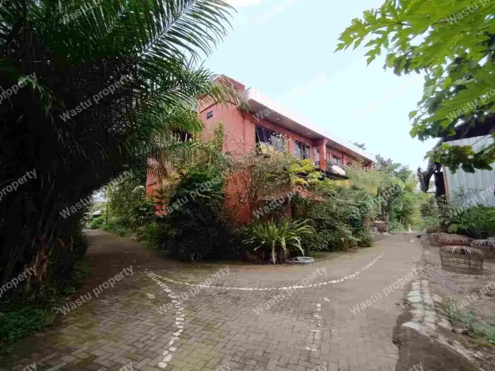 DIJUAL LELANG RUMAH BESAR DEKAT STADION MAGUWO