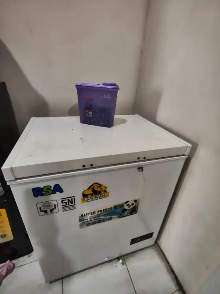 Freezer RSA 150 L