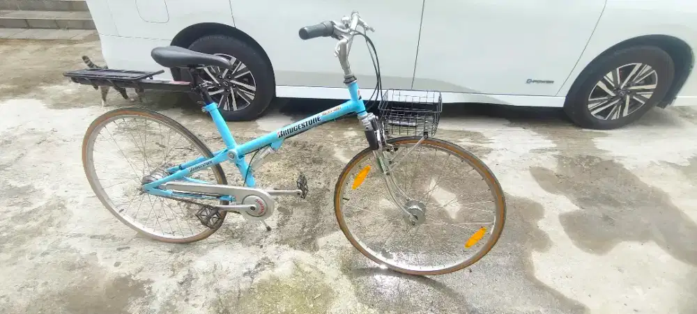 Bridgestone La chusion