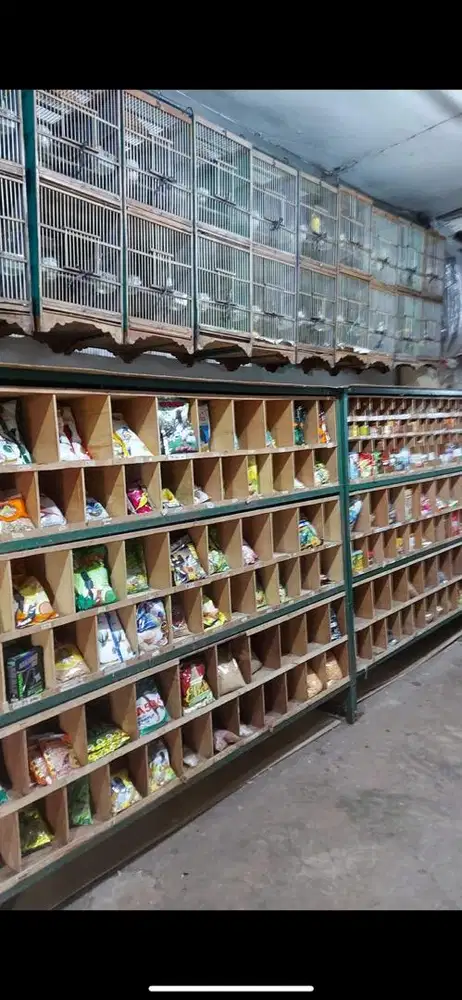 jual usaha toko burung dan sangkar dan aksesoris lainya
