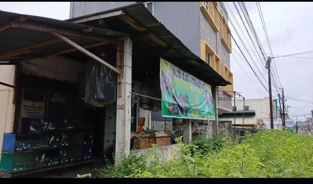 jual usaha toko burung dan sangkar dan aksesoris lainya