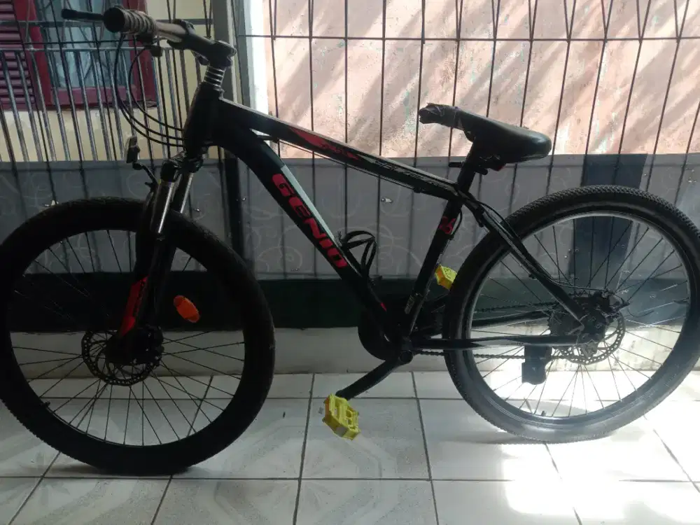 Sepeda Genio MTB Genio  XC.03 Salzblurg Rring 26