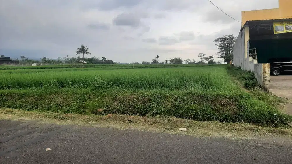 TANAH MURAH DIJUAL CEPAT KARANGPLOSO