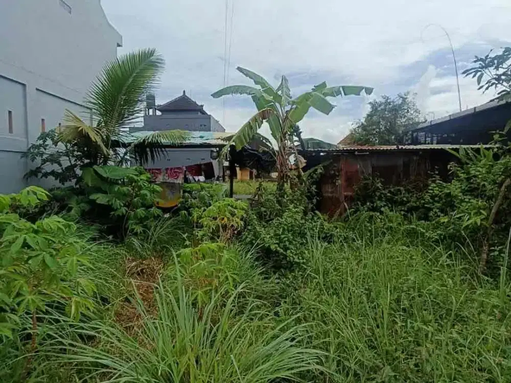 Dijual tanah lokasi di singapadu jalur dekat ke Ubud