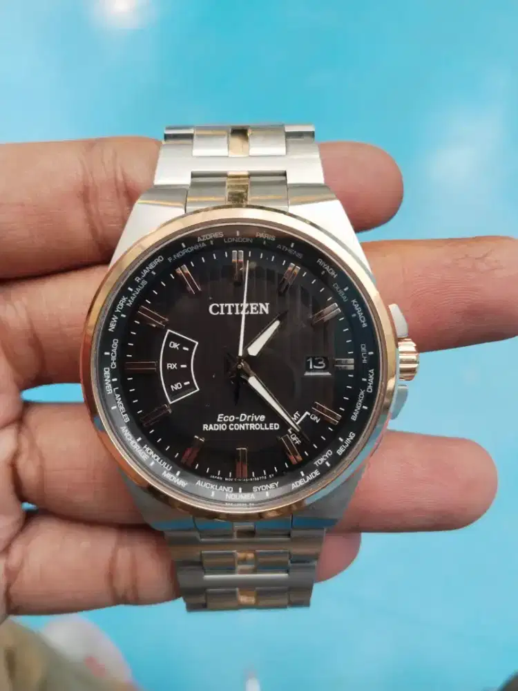 Citizen World Perpetual CB0166-54H Brown Watch