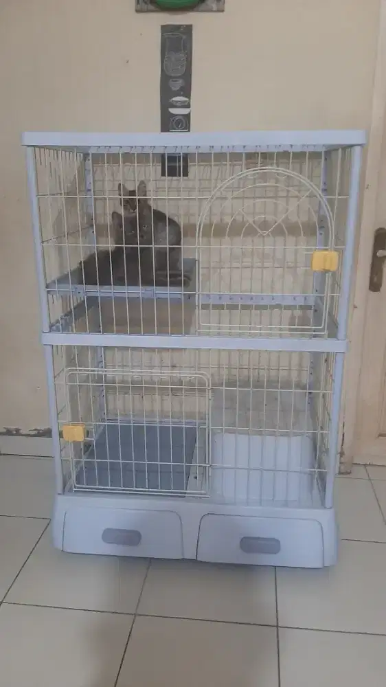 Jual kandang dan kucing