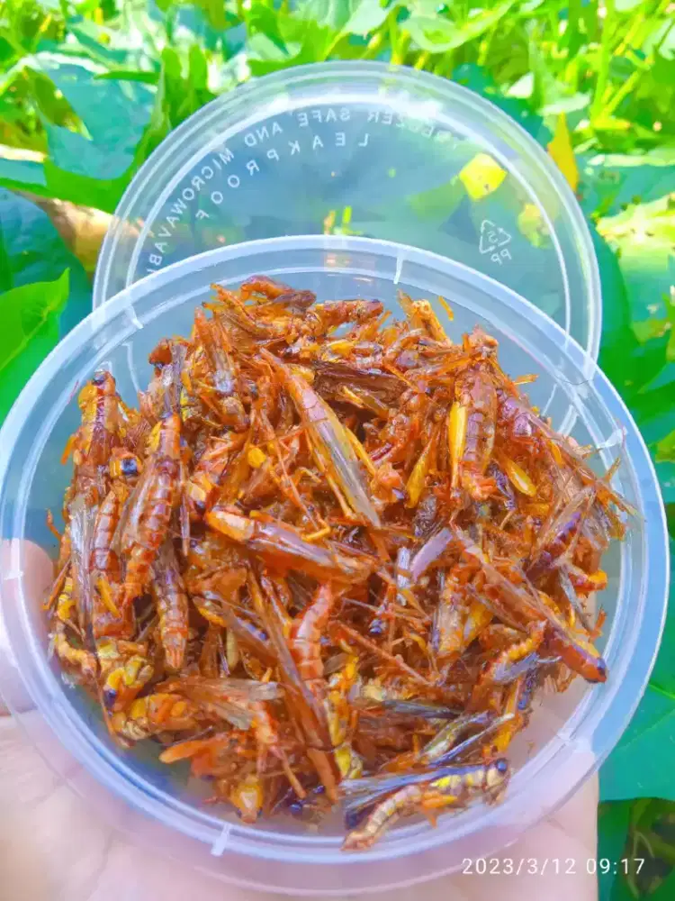 Belalang goreng kriuk makanan ringan Snack cemilan jajan viral murah