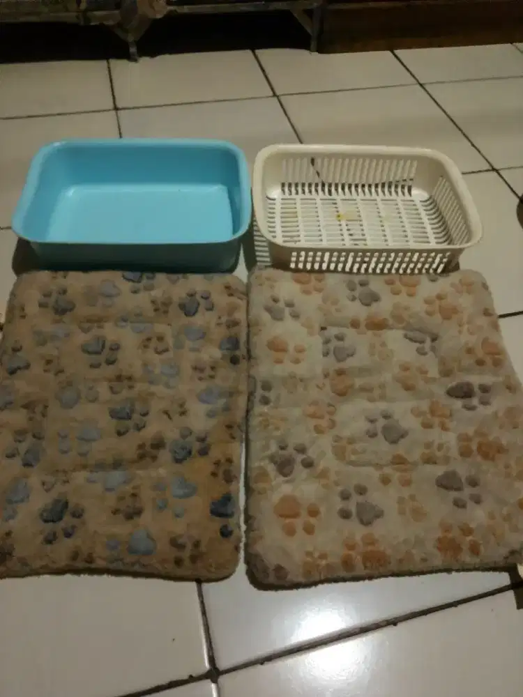 Tempat & selimut kucing
