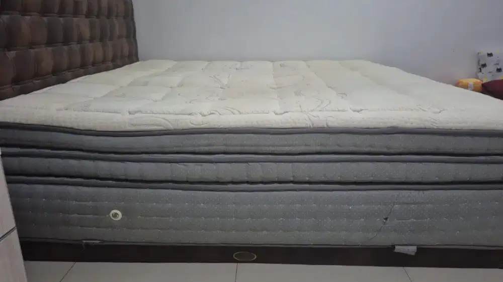 Springbed lady americana