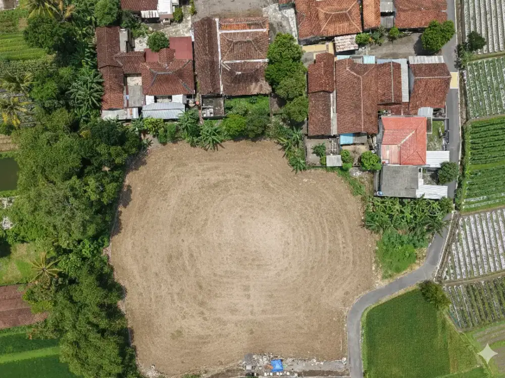 Tanah Dekat Candi Kalasan, Akses Mudah Harga Merakyat 2 Jutaan/m²