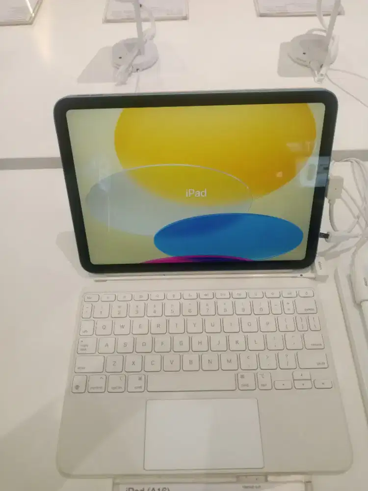 iPad (A16) 128GB