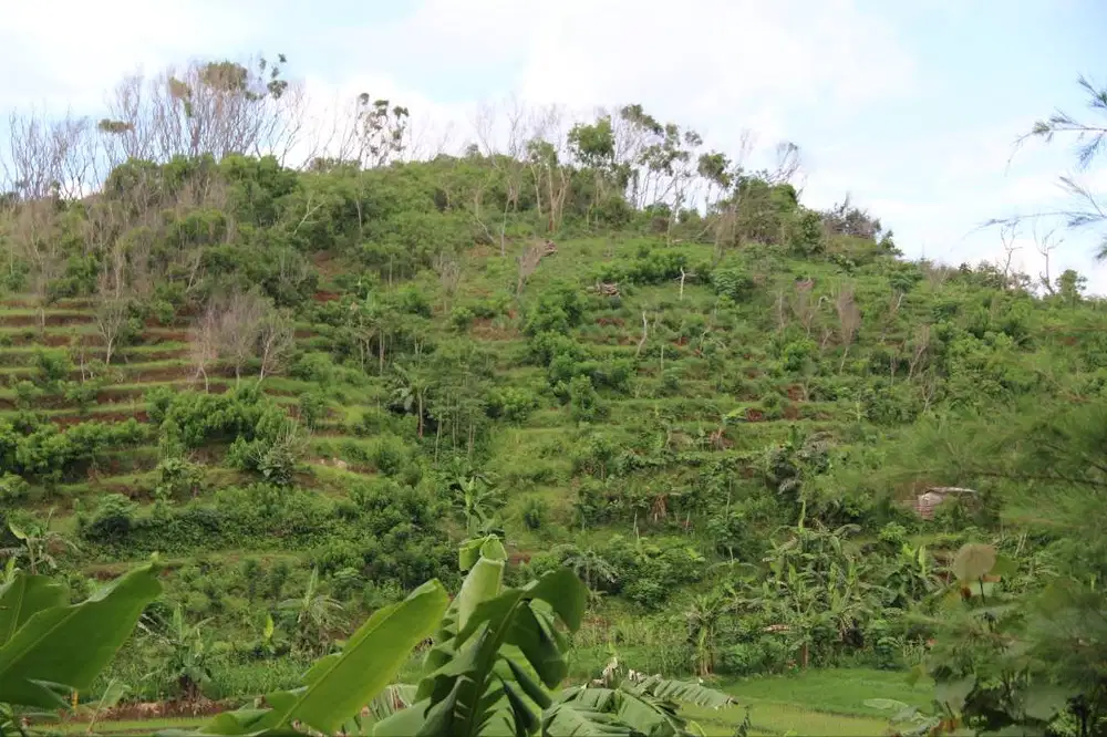 Jual Tanah SHM Strategis diPuncak Bukit View Pantai Wediombo & Jungwok