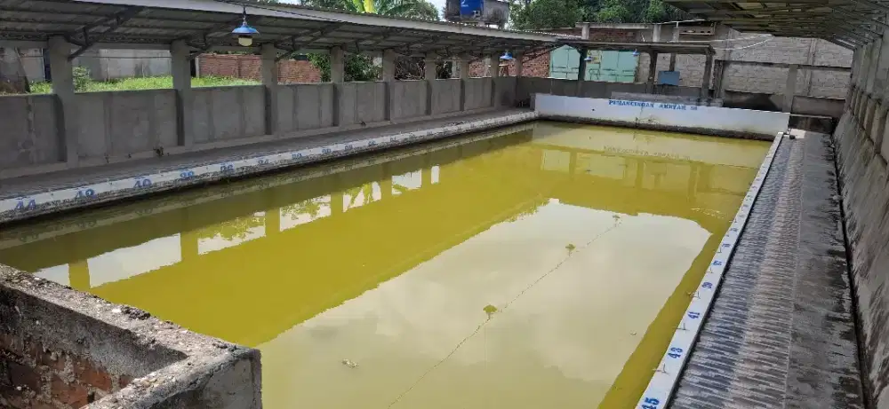Kolam ikan Margo Lestari