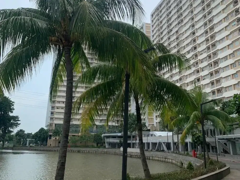 Dijual Appartement Travium Terrace Di Cikarang Bekasi