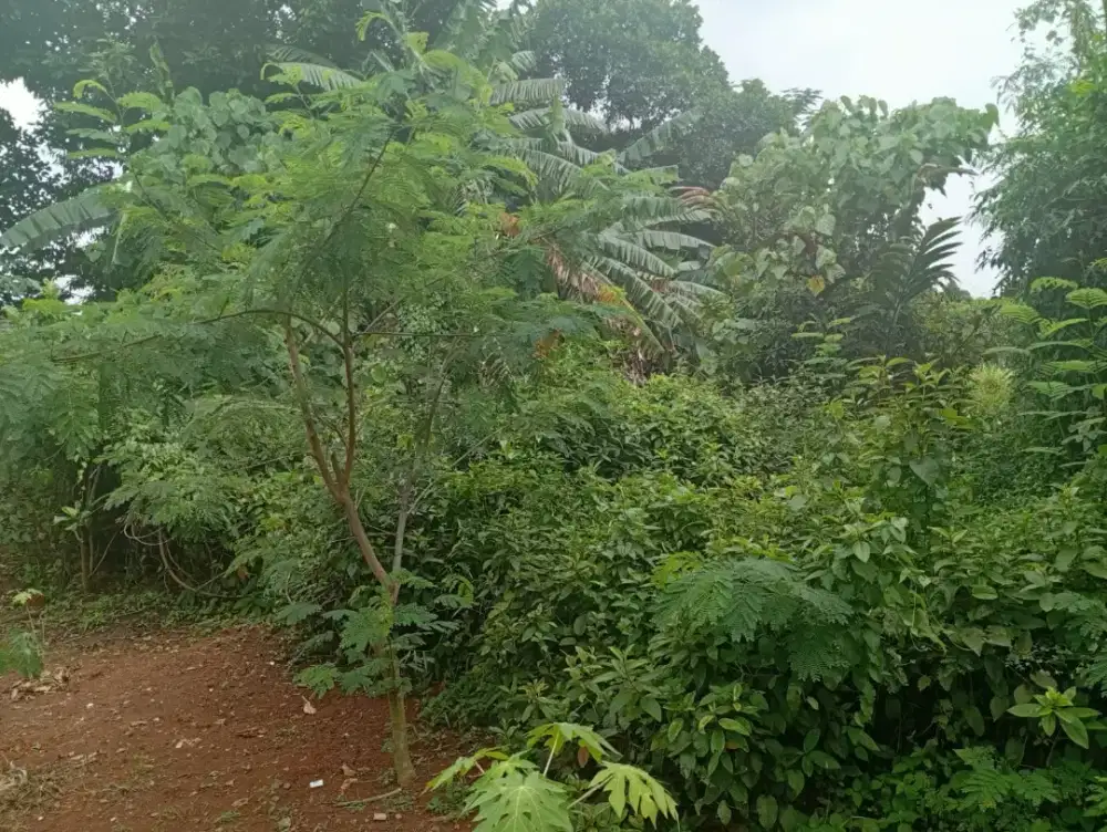 Jual Cepat! Tanah Bekasi Timur