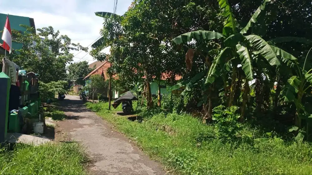 Tanah Murah SHM Megu Cilik