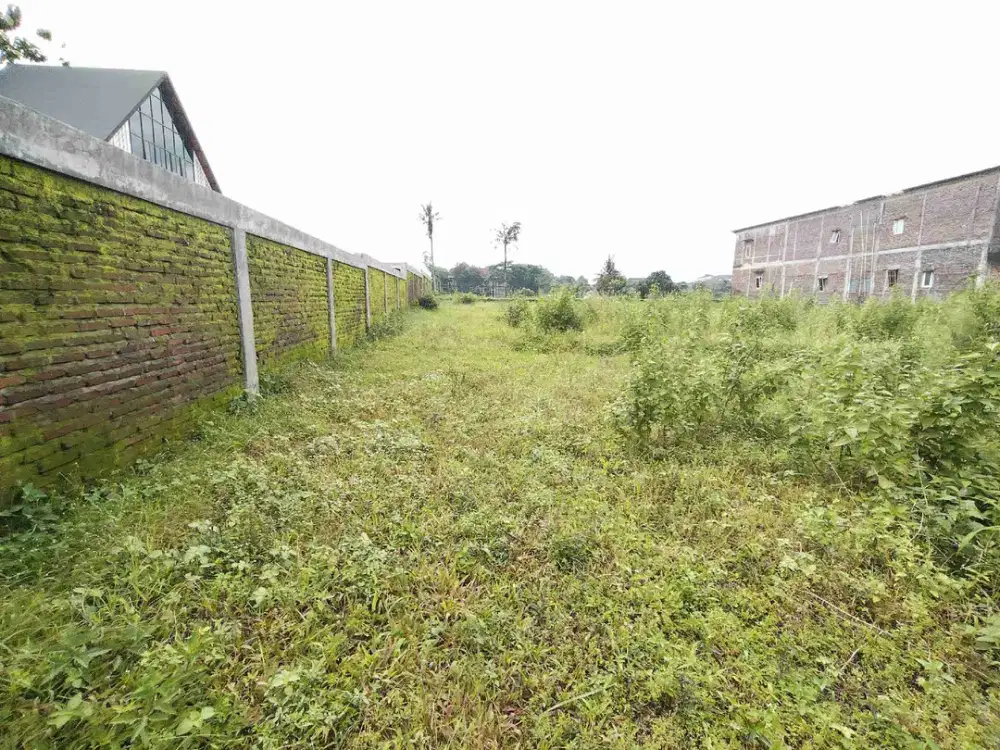 Tanah kosong Karangwangkal kompleks kampus Unsoed Purwokerto