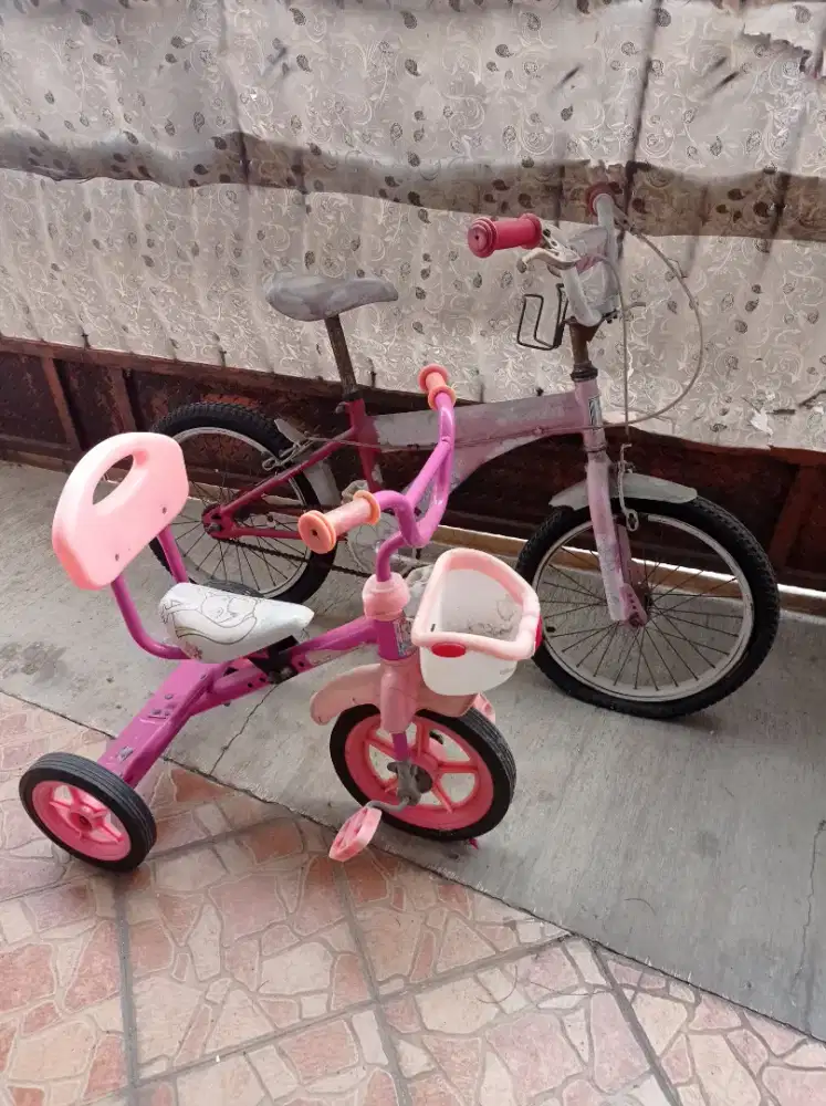 Sepeda anak roda 2 & roda 3