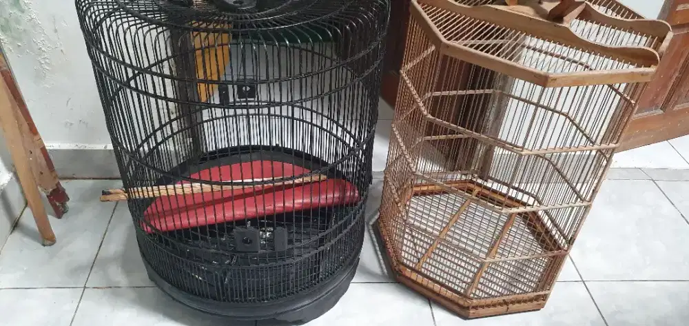 Sangkar murai dan ijo