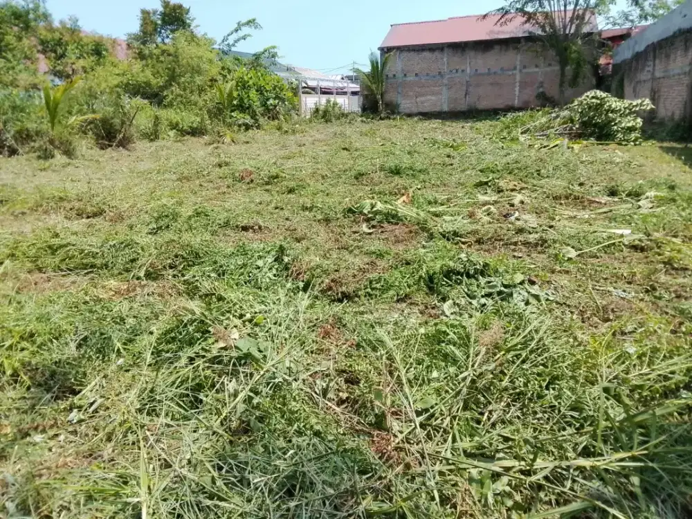 Dijual Tanah SHM Dadok Tunggul Hitam