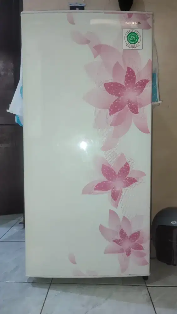 Kulkas Sharp 1 pintu