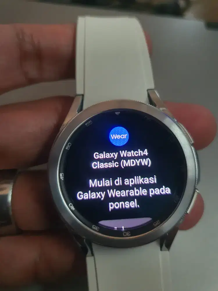 Samsung Galaxy Watch 4 Silver 42mm Mulus